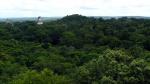 Tikal - Petén and the North, Guatemala