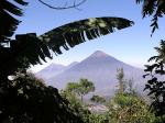 Pacaya volcano - Antigua and Guatemala City, Guatemala