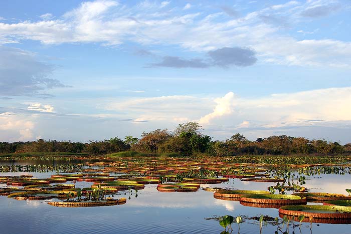 Guyana and Suriname image