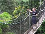 Image: Canopy Walkway - The Central forest zone, Guianas