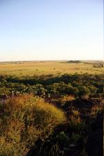 Image: Dadanawa - The Rupununi savannas