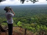 Image: Iwokrama River Lodge - The Central forest zone, Guianas