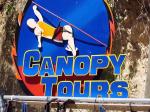 Image: Canopy tour - The Bay Islands