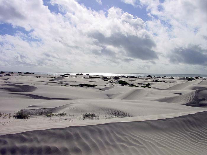 5_Baja_Dunes.jpg [© Last Frontiers Ltd]