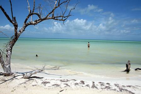 Idyllic Beaches