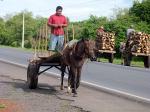 Local transport near Len