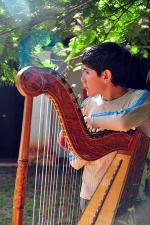 Image: Paraguayan harp - The Southern Missions