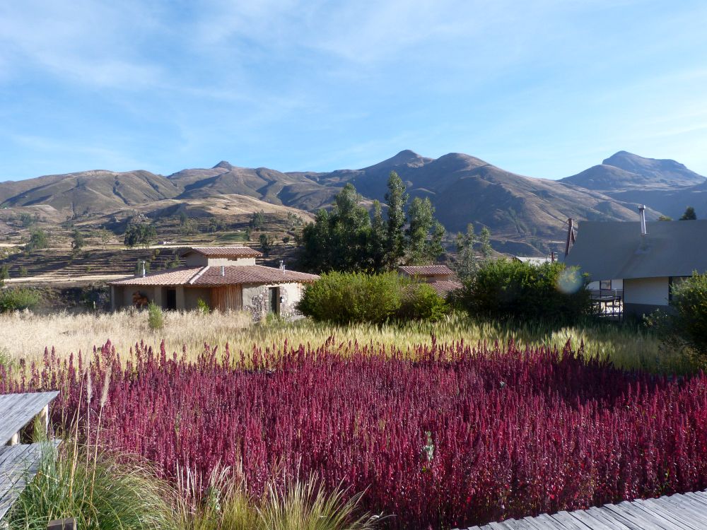 PE2506PC054_puqio-gardens.jpg [© Last Frontiers Ltd]