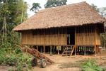 Image: Refugio Amazonas - Tambopata and Manu, Peru