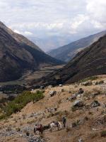 Image: MLP trek: Day 2 - The Inca Trails