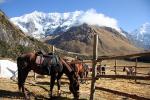 Soray Lodge - The Inca Trails, Peru