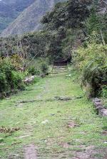 Image: MLP trek: Day 5 - The Inca Trails