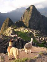 Machu Picchu - Machu Picchu, Peru