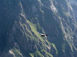 The Colca Valley image