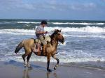 Image: Riding on the beach - José Ignacio and the East