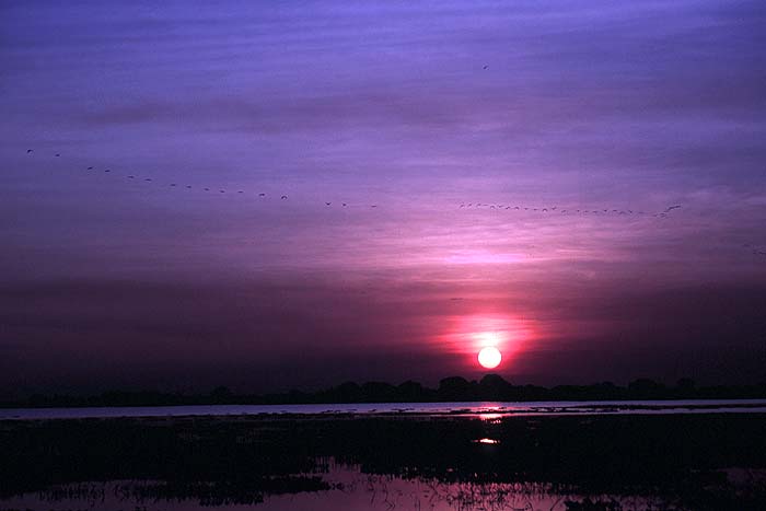 VE0195EP_el_frio_sunset.jpg [© Last Frontiers Ltd]