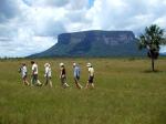 Image: Carrao savanna - Canaima and Angel Falls