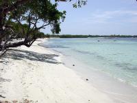 Choron and Morrocoy image